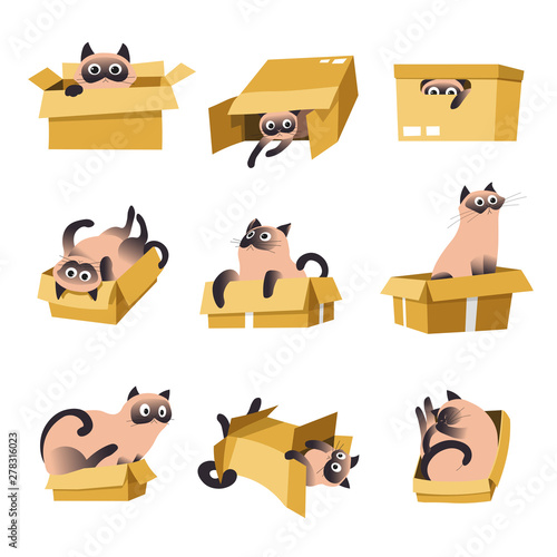 Cat playing with box isolated icons pet or domestic animal