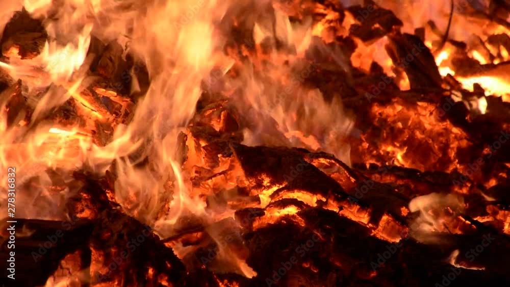 Up close view of a burning bonfire Up close view of a burning bonfire