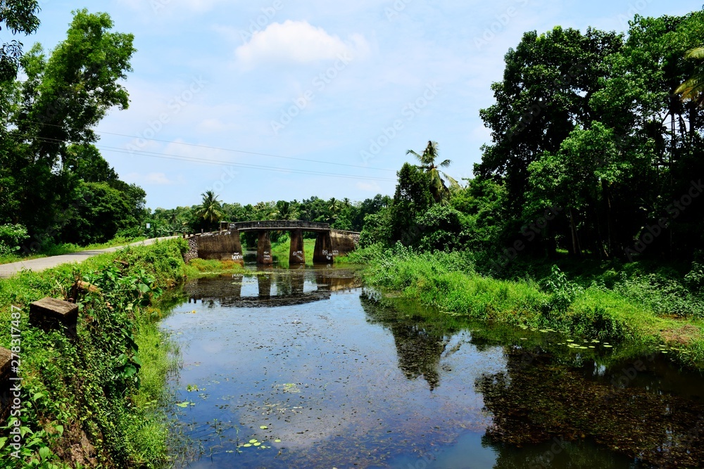 Rural Kerala - Free from pollution Rural Kerala - Free from pollution