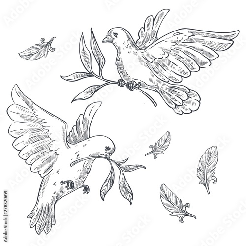 Doves or pigeons with olive branch or twig in beak isolated sketches