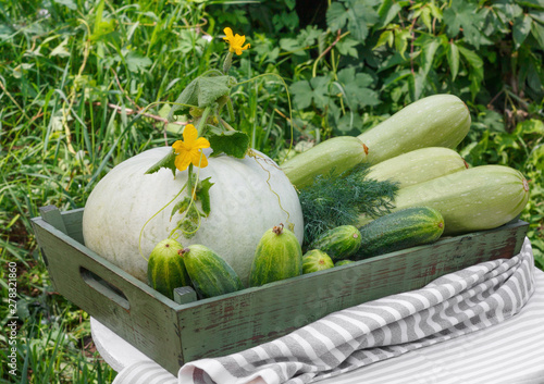 Harvest of ripe cucumber squash and pumpkin in  wooden box on  wooden table photo