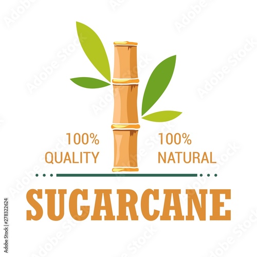 Natural organic product sugarcane isolated icon plantation