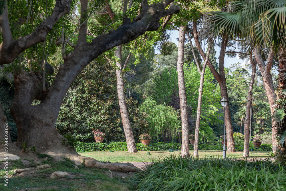 Barcelona. Public garden of Joan Maragall, Montjuic Park. Barcelona. Public garden of Joan Maragall, Montjuic Park.