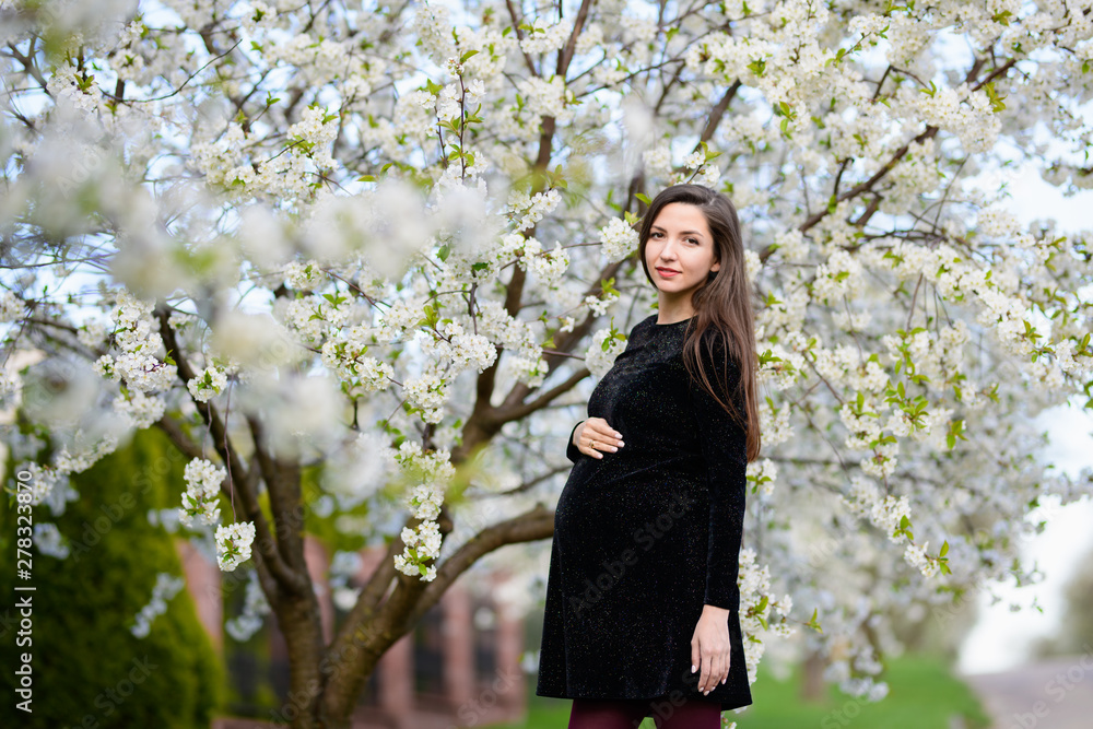 Pregnant girl in the flowered garden. beautiful pregnant girl in a black dress is standing in a flowered garden Pregnant girl in the flowered garden. beautiful pregnant girl in a black dress is standing in a flowered garden