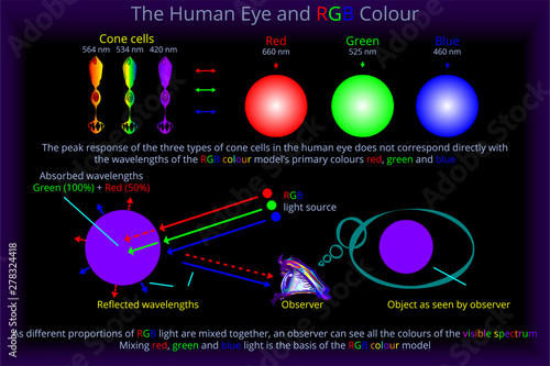 The Human Eye and RGB Colour