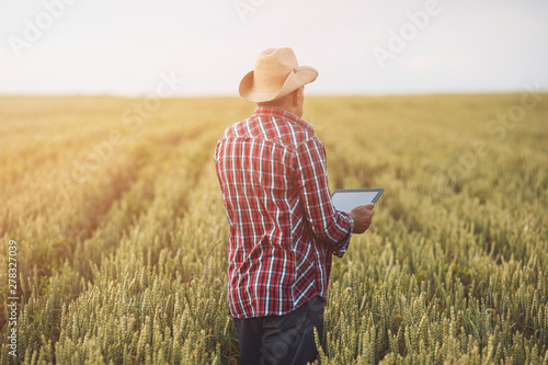 Farmers with tablet in a wheat field. Smart farming © VAKSMANV
