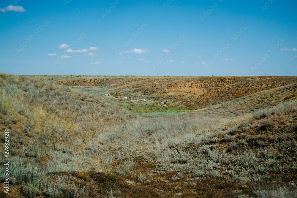 Distant hills. Hilly steppe. Curvy hills. Blue sky and grass. Beautiful plain.