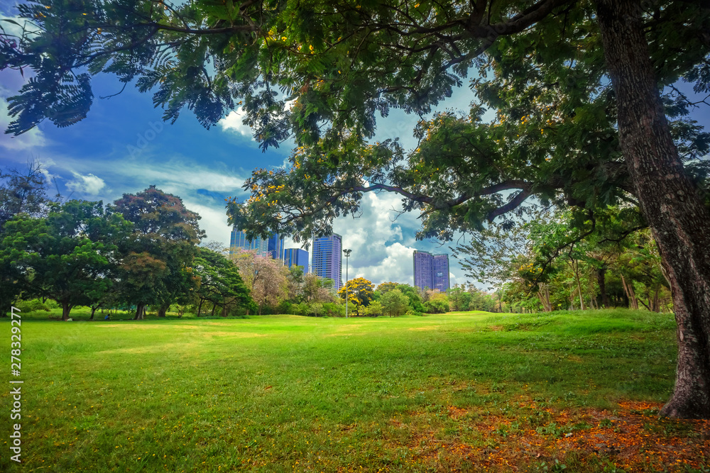 Obraz premium Beautiful park scene in public park with green grass field,