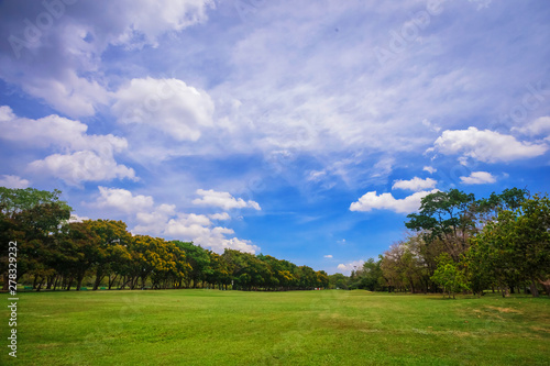 Beautiful park scene in public park with green grass field,