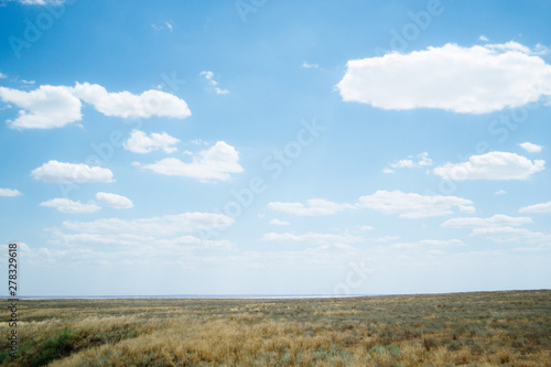 Steppe landscape. Lonely green plants on dry  hot sand