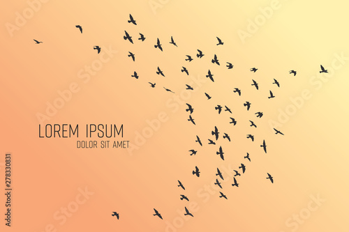 silhouette of a flock of flying birds