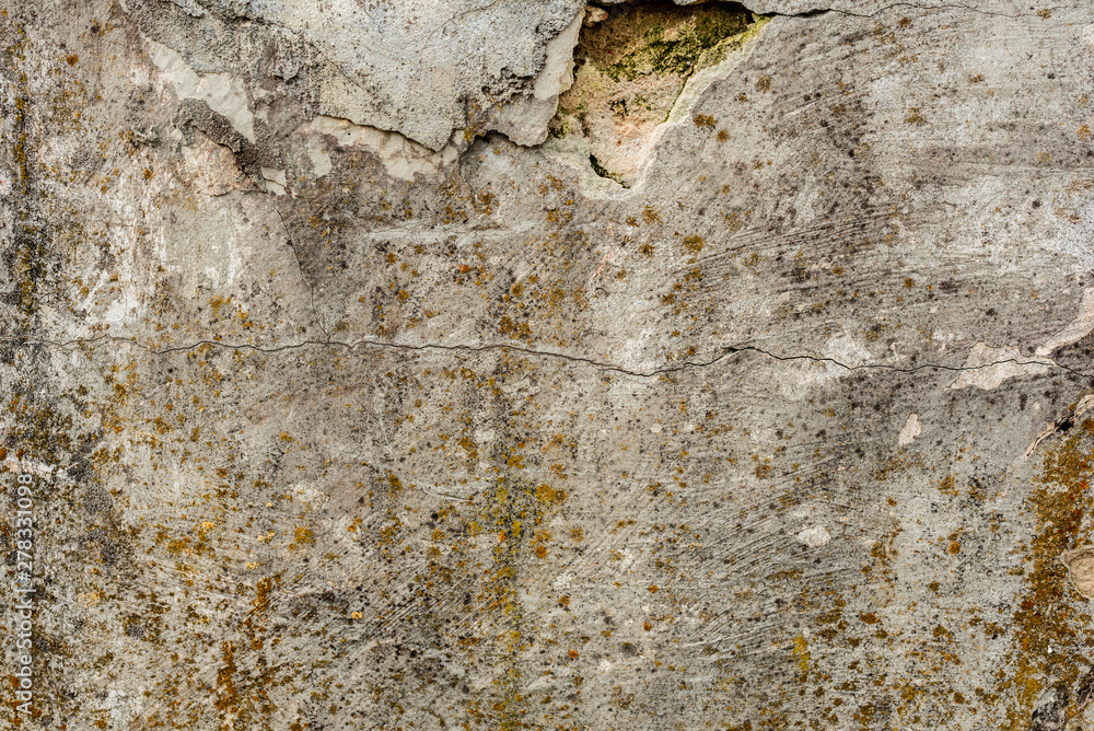 Texture of a concrete wall with cracks and scratches which can be used as a background Texture of a concrete wall with cracks and scratches which can be used as a background