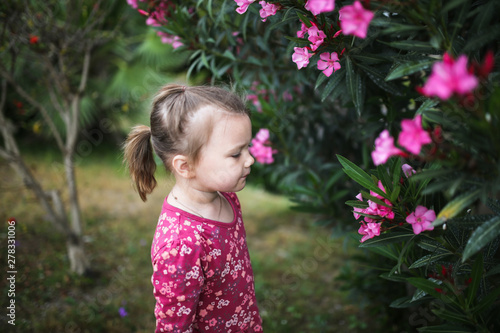 child examines and studies bush with pink flowers