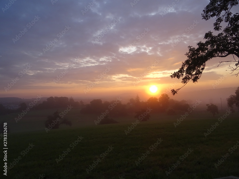 sonnenaufgang, baum und schöne landschaft