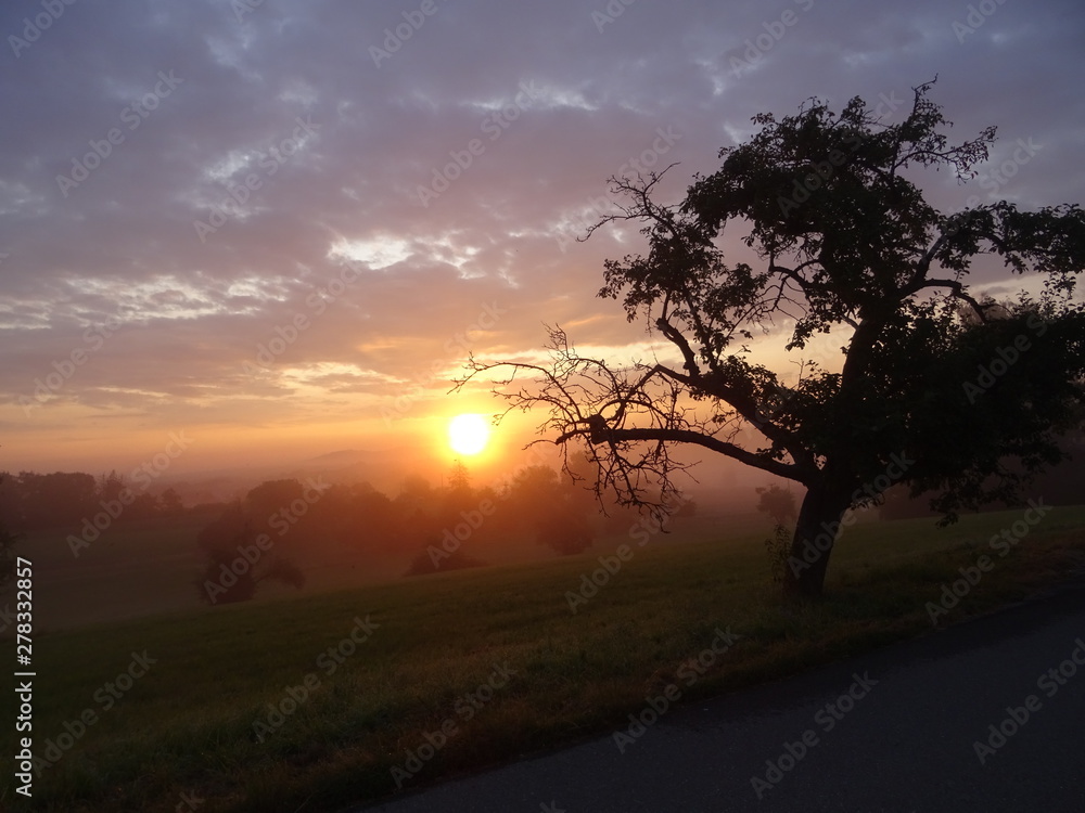 sonnenaufgang, baum und schöne landschaft