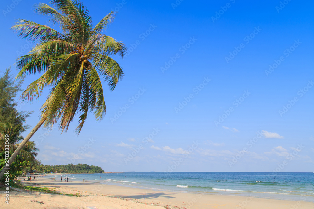 The beach and blue sky/Beautiful beach and tropical sea/View of nice tropical beach with palm tree/Holiday and vacation/ The beach and blue sky/Beautiful beach and tropical sea/View of nice tropical beach with palm tree/Holiday and vacation/