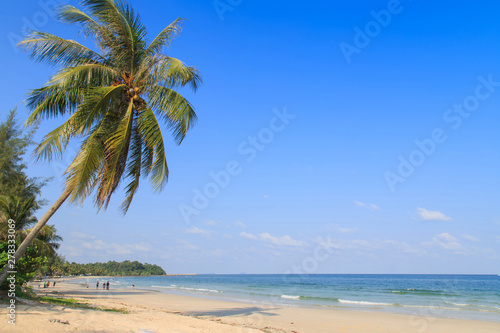 The beach and blue sky/Beautiful beach and tropical sea/View of nice tropical beach with palm tree/Holiday and vacation/