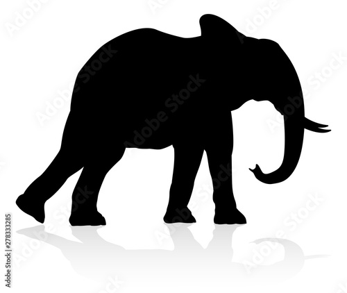 An elephant safari animal silhouette
