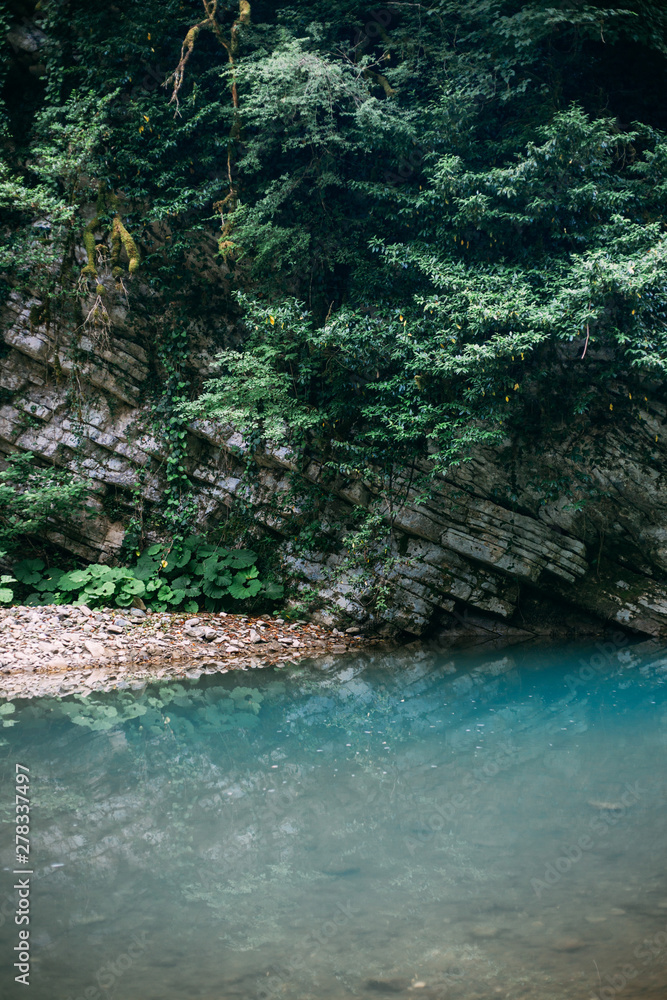 Blue mountain river in Popular tourist route in Yew-Boxwood Grove in Caucasian biosphere reserve, Khosta district of Sochi, Russia Blue mountain river in Popular tourist route in Yew-Boxwood Grove in Caucasian biosphere reserve, Khosta district of Sochi, Russia