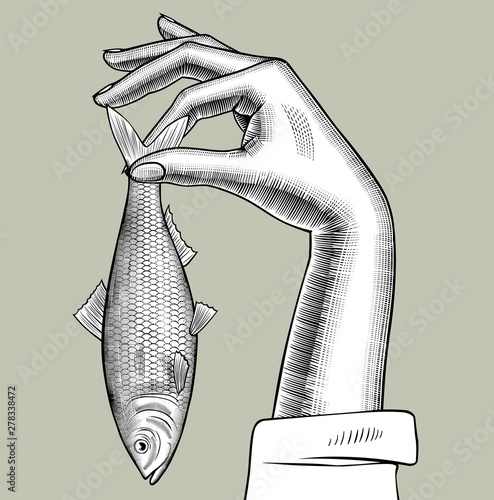 Woman's hand holding a herring fish in her fingers