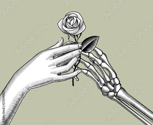 The skeleton's hand gives a white rose to the female hand