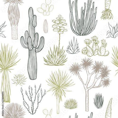 Desert plants, cacti. Vector  seamless pattern.
