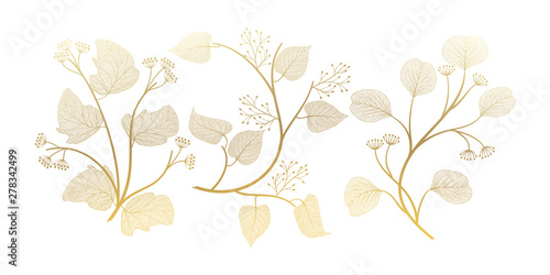 Set branches with leaves isolated. Vector illustration. EPS 10.