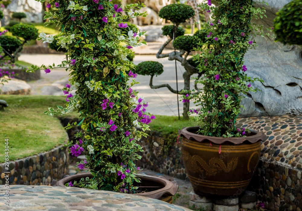Luxury landscape design of the tropical garden. Beautiful view of tropical landscape Luxury landscape design of the tropical garden. Beautiful view of tropical landscape