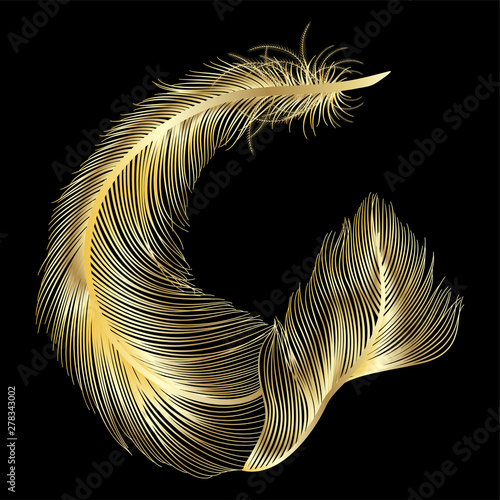 Feather isolated on black.Vector illustration.