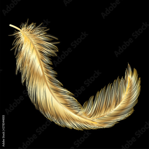 Feather isolated on black.Vector illustration.