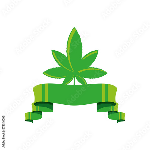frame with cannabis leaf plant and ribbon