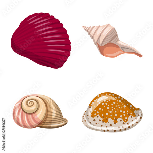 Isolated object of seashell and mollusk logo. Collection of seashell and seafood stock symbol for web.