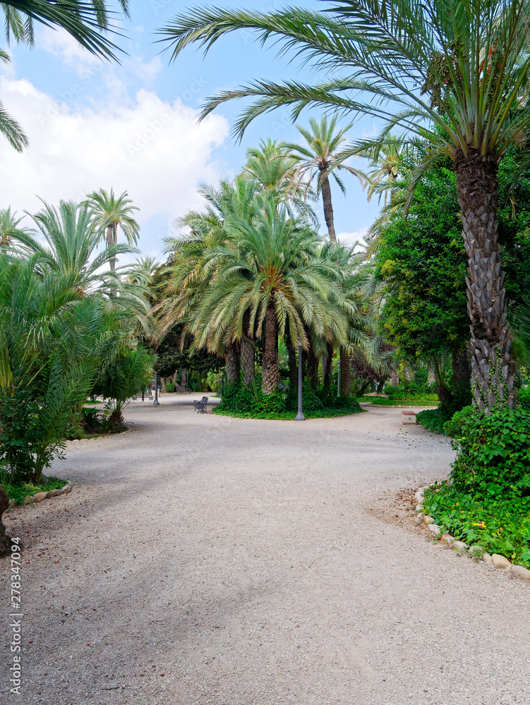 A beautiful garden in a palm grove in Elche, Spain.