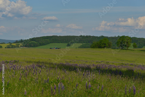 Böhmisches Mittelgebirge bei Decin