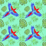 watercolor tropical seamless pattern parrot macaw leaves monstera and palm