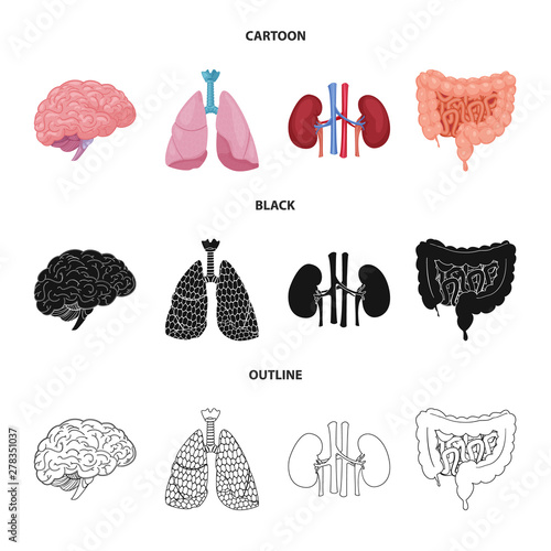 Vector illustration of body and human logo. Collection of body and medical vector icon for stock.