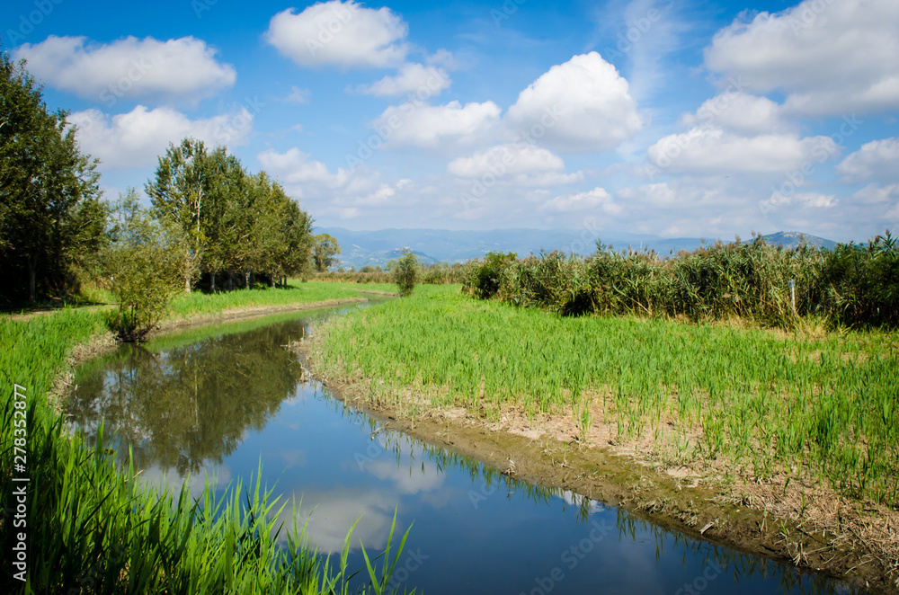 Panorama di un canale del Padule di Fucecchio in una giornata primaverile di sole con qualche nuvola Panorama di un canale del Padule di Fucecchio in una giornata primaverile di sole con qualche nuvola