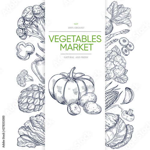 Vegetable markets banner template with hand drawn green. Illustration of vegetarian healthy vegetable, pumpkin and brocoli, corn and pepper photo