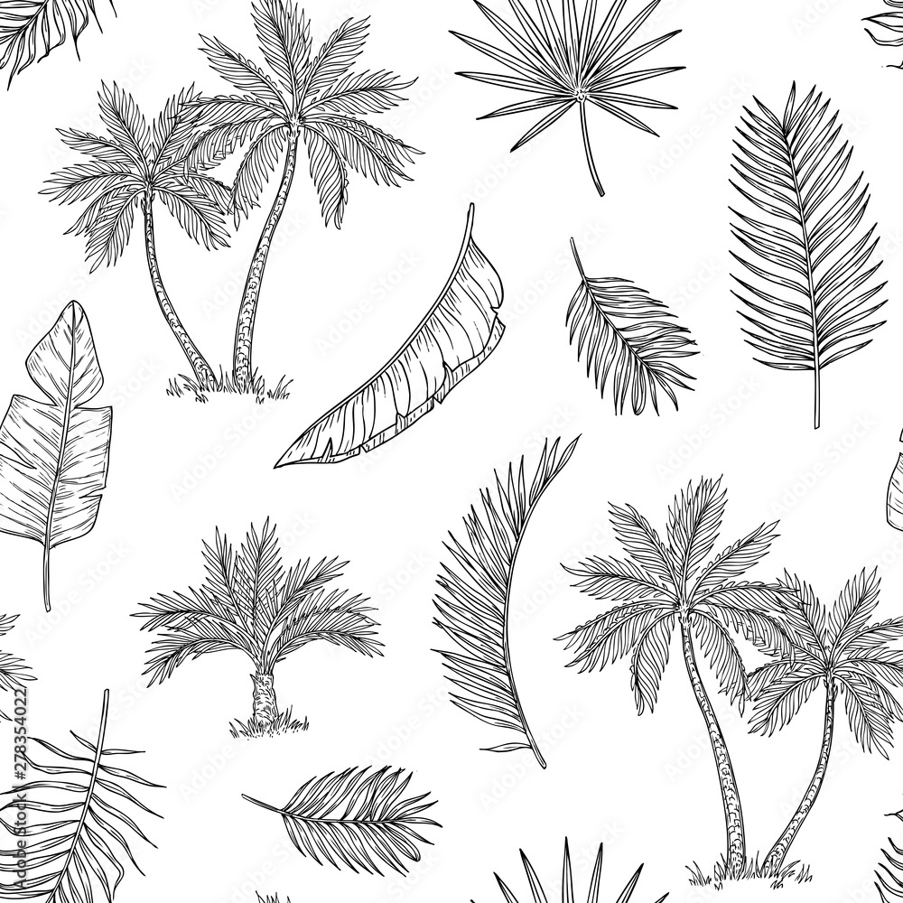 Palm tree seamless background. Tropical coconut palm, exotic island. Vintage hand drawing