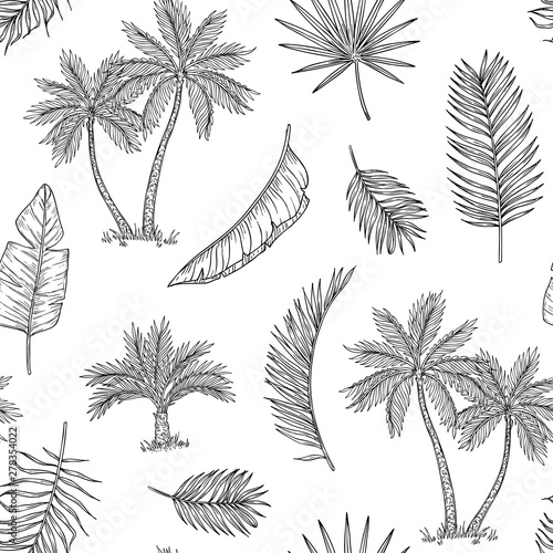 Palm tree seamless background. Tropical coconut palm, exotic island. Vintage hand drawing abstract floral summer vector print pattern. Pattern seamless tree palm leaf background illustration graphic