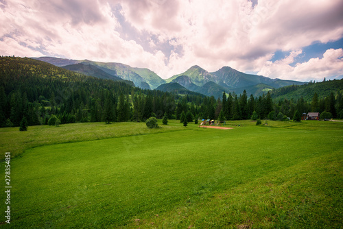 View of green landscape with mountains.