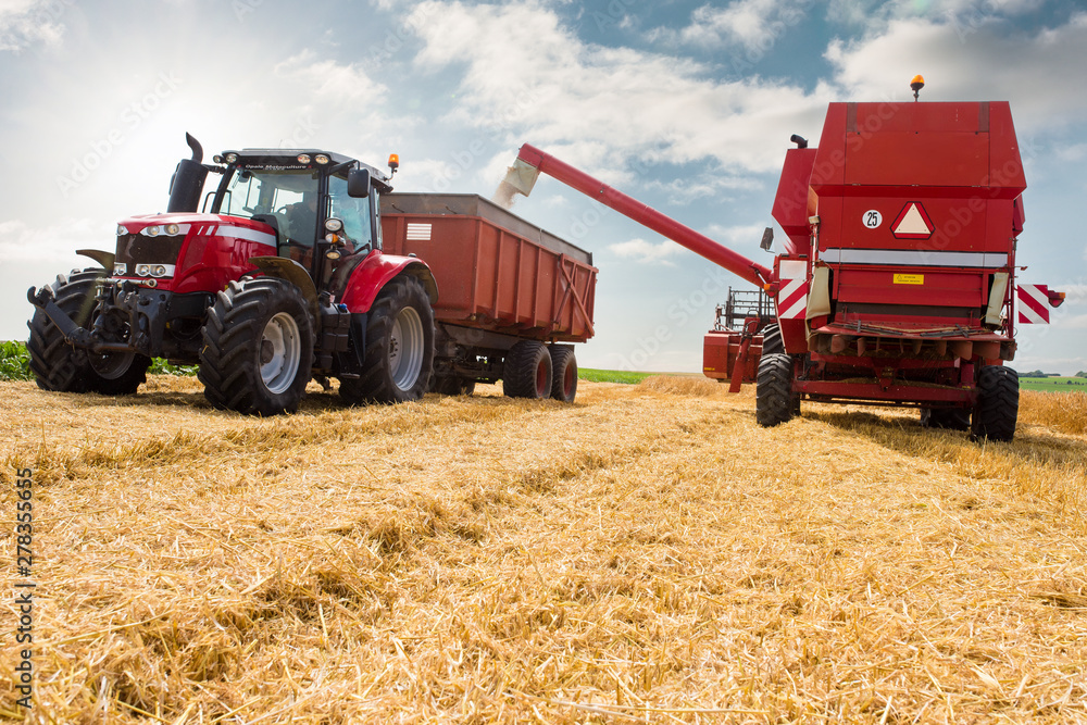 Obraz premium beautiful landscape with a combine harvester in action
