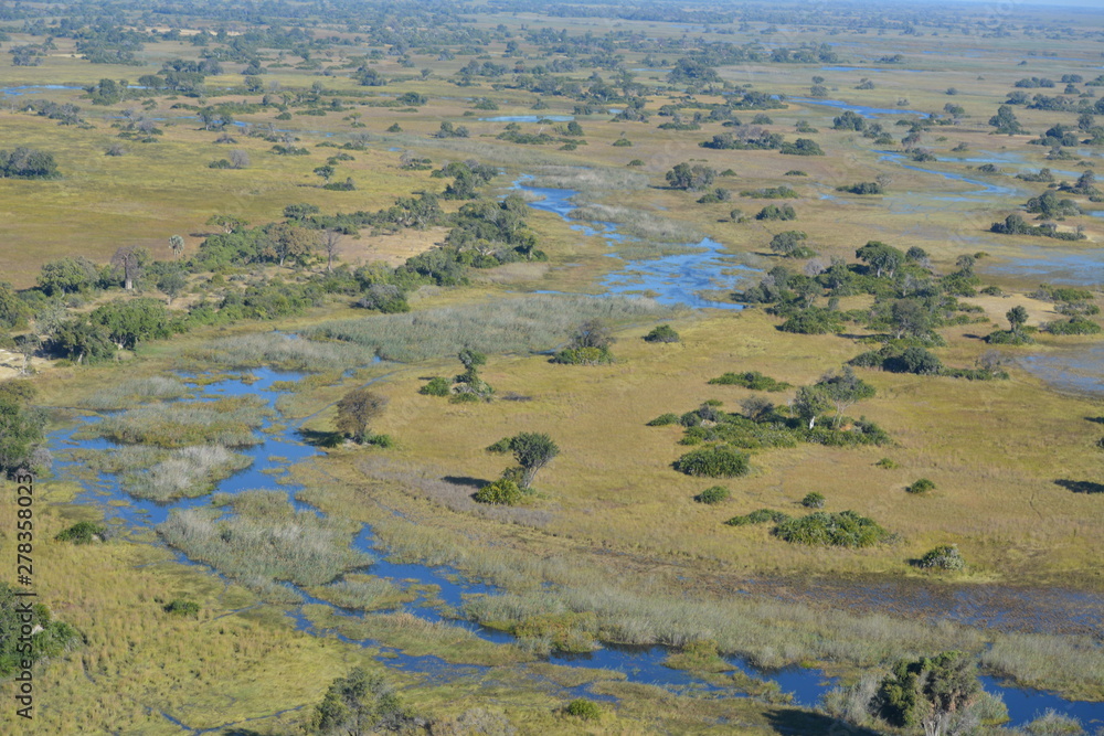BOTSUANA(Safari ,Delta del Okawango,rio Zambece) BOTSUANA(Safari ,Delta del Okawango,rio Zambece)