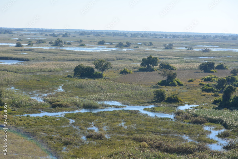 BOTSUANA(Safari ,Delta del Okawango,rio Zambece)