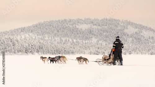Canvas Print Couple dog sledding over a frozen lake near to the forest beneath a pink tinted