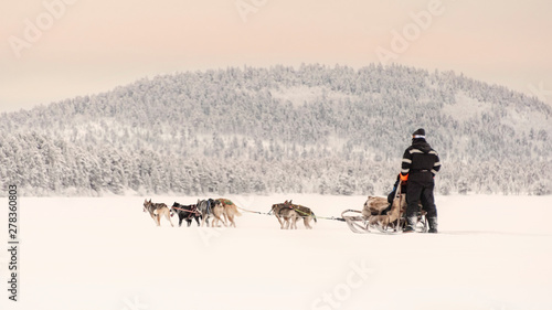 Couple dog sledding over a frozen lake near to the forest beneath a pink tinted sky