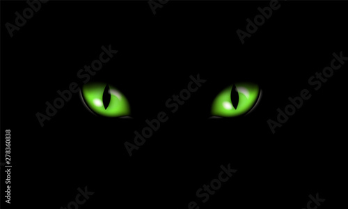 Realistic illustration of green feline eyes or cat eye, isolated on black background, vector