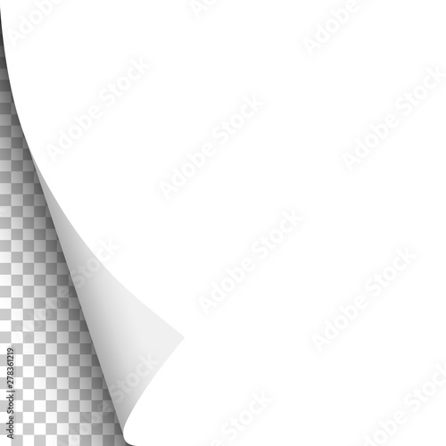 White sheet of paper with curled lower left corner. Vector paper template.