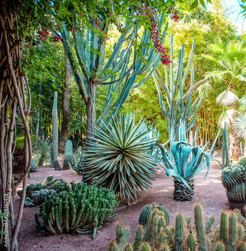 Majorelle Garden in Marrakech, Morocco photo