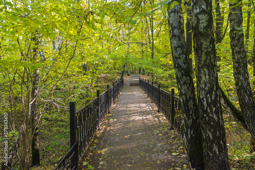 The bridge over a small ravine. October.